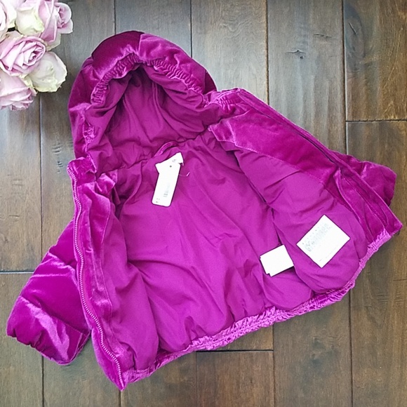 NWT Gymboree Velvet/Hooded Puffer (18-24M) - Picture 3 of 7